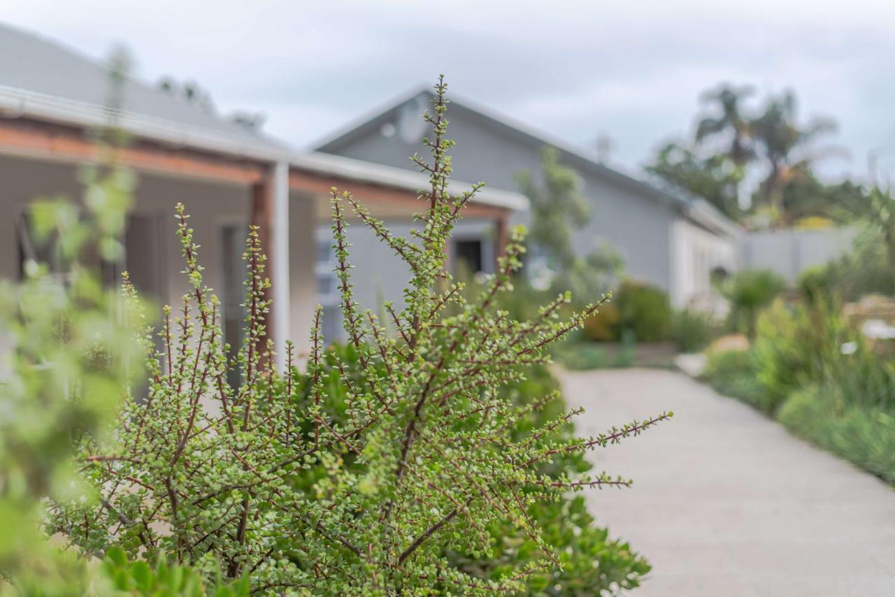 Azaria Guesthouse Swellendam Eksteriør billede